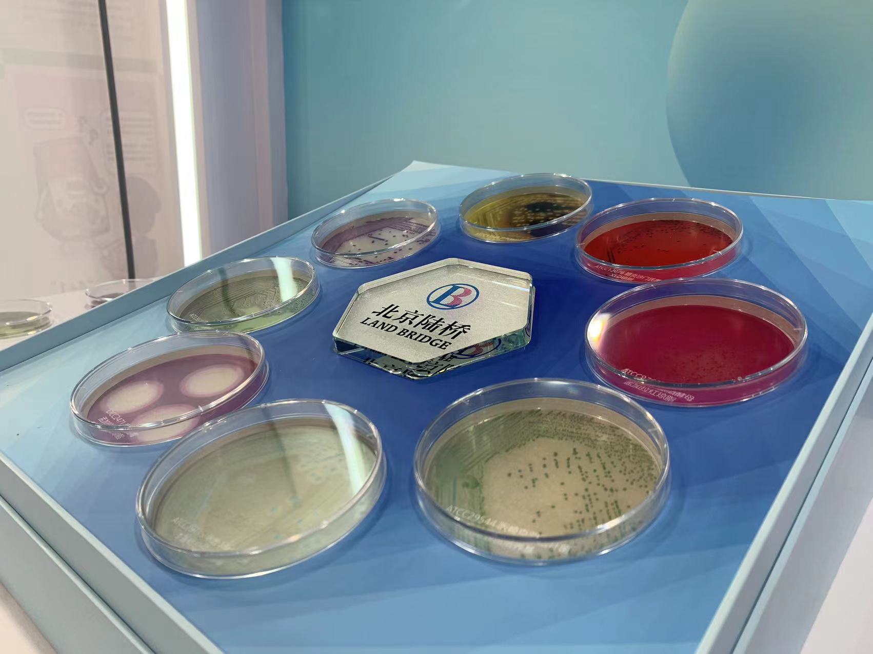 北京陸橋與您相約全國科普日 助力國家科技，守護“舌尖上的安全”