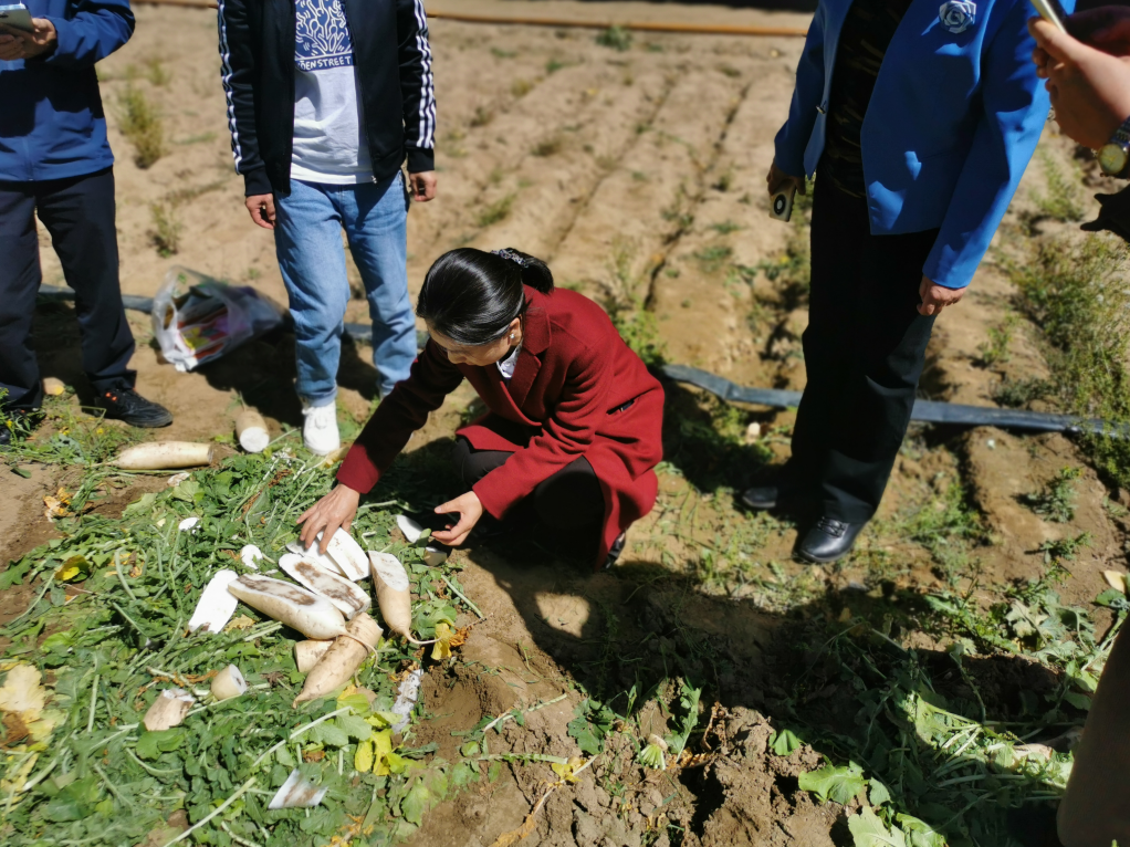 “智惠行動(dòng)·百會(huì )百縣鄉村行” 北京陸橋助力農牧產(chǎn)品高質(zhì)量發(fā)展