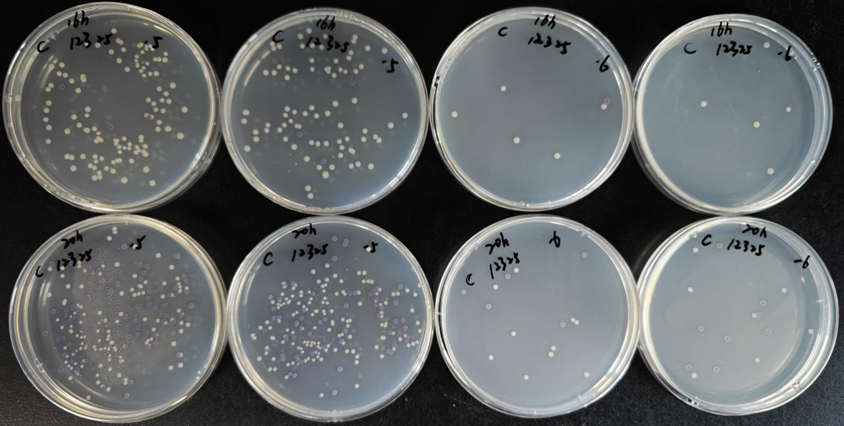 不同廠(chǎng)家RVS肉湯增菌效果的比較
