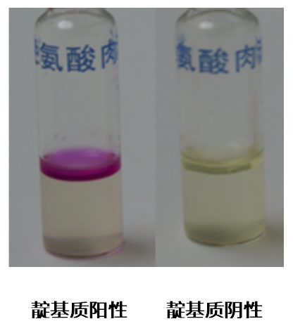 福氏志賀氏菌“靛基質(zhì)試驗”的結果討論