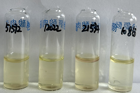 福氏志賀氏菌“靛基質(zhì)試驗”的結果討論