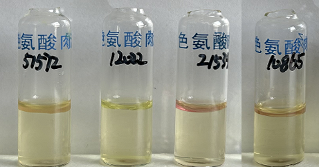 福氏志賀氏菌“靛基質(zhì)試驗”的結果討論