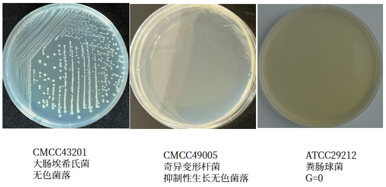 沙門(mén)檢測新助手—沙門(mén)氏+顯色培養基