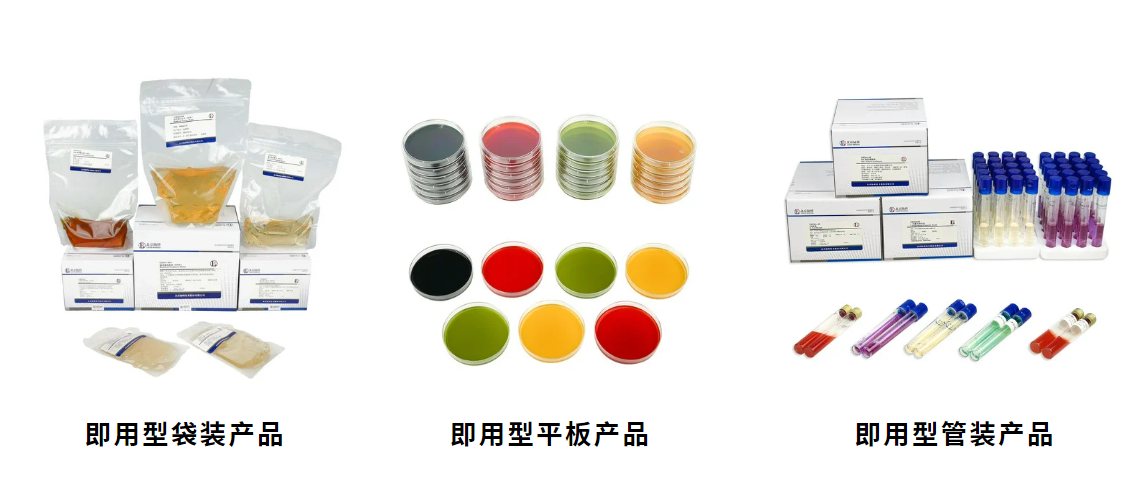 北京陸橋邀請您參加第六屆食品微生物標準與技術(shù)應用大會(huì ) （2025年5月·北京）