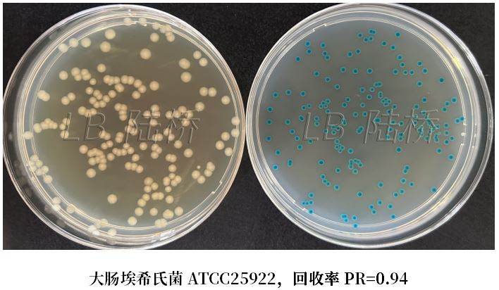 GB 4789.38－2025《食品安全國家標準　食品微生物學(xué)檢驗　大腸埃希氏菌計數》解讀