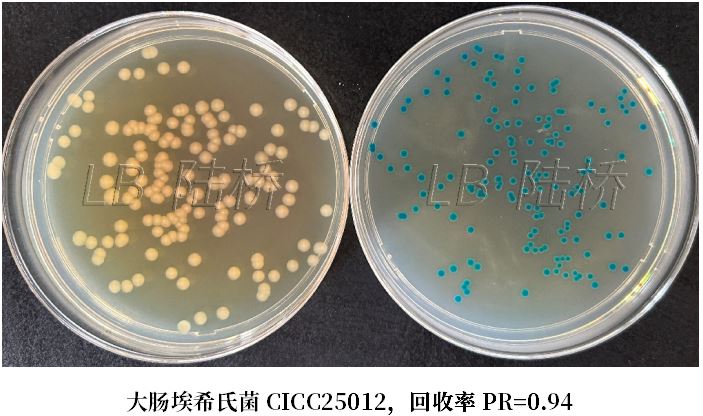 GB 4789.38－2025《食品安全國家標準　食品微生物學(xué)檢驗　大腸埃希氏菌計數》解讀