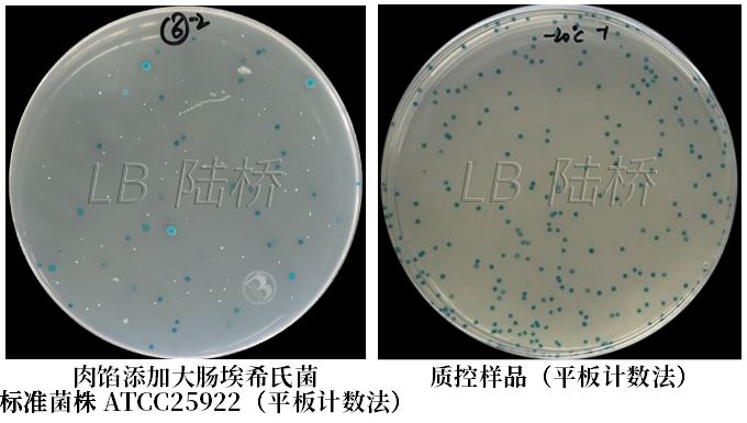 GB 4789.38－2025《食品安全國家標準　食品微生物學(xué)檢驗　大腸埃希氏菌計數》解讀