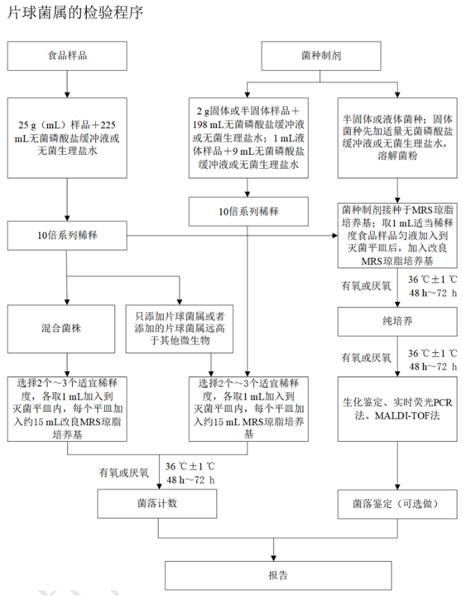 乳酸菌檢驗新角色——片球菌屬與魏茨曼氏菌屬
