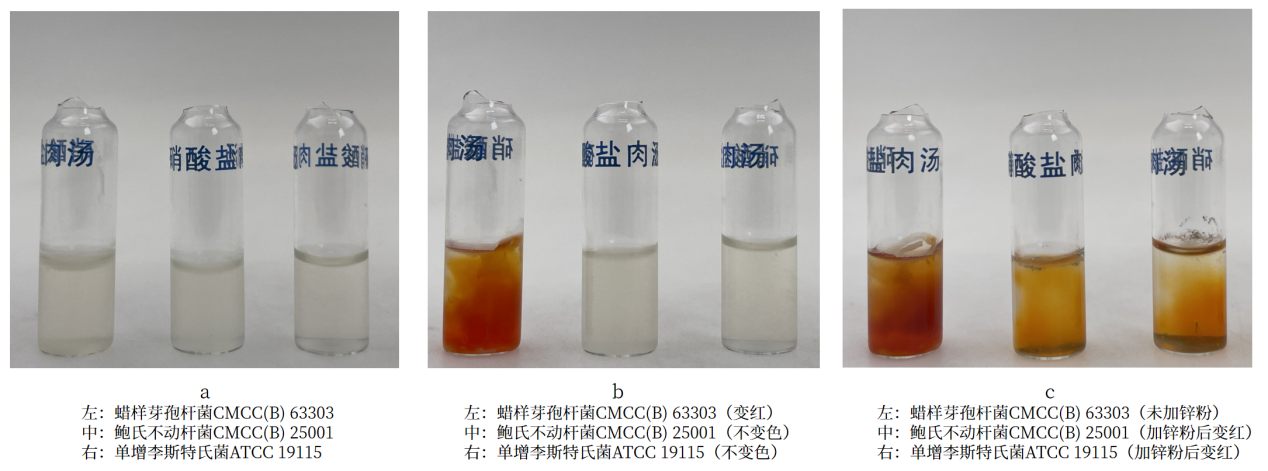 細菌生化實(shí)驗之硝酸鹽還原實(shí)驗解析