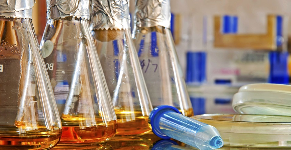 1101無(wú)菌檢查法——培養基適用性檢查操作要點(diǎn)（中國藥典2020年版四部）