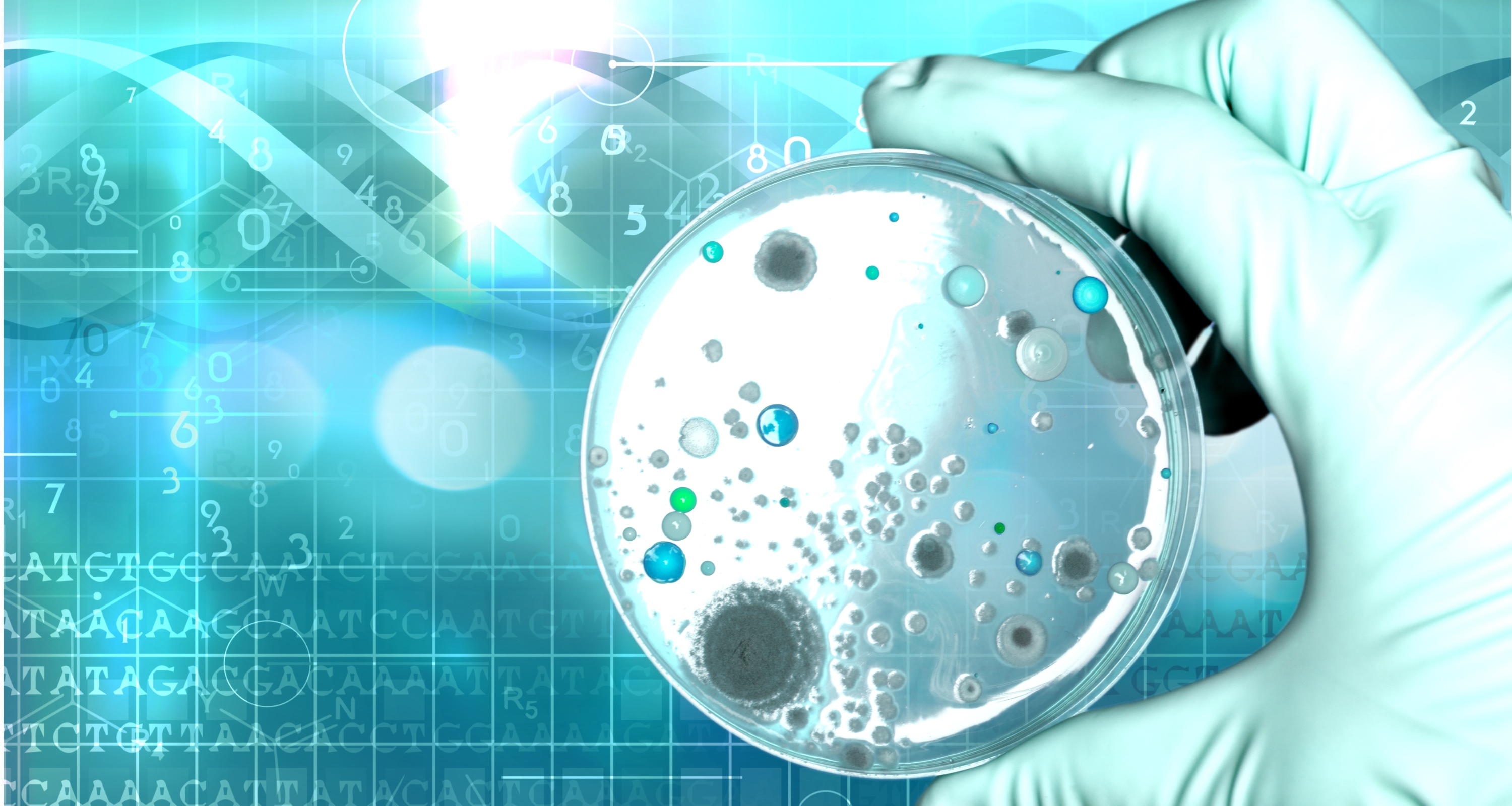 常見(jiàn)菌株保藏法的優(yōu)缺點(diǎn)對比