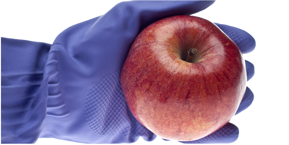 北京陸橋邀您參加2024 食品安全與檢測技術(shù)創(chuàng  )新論壇，共同探討GB4789.28-2024