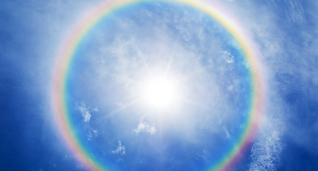 自帶“光環(huán)”的菌——唐菖蒲伯克霍爾德氏菌（下）