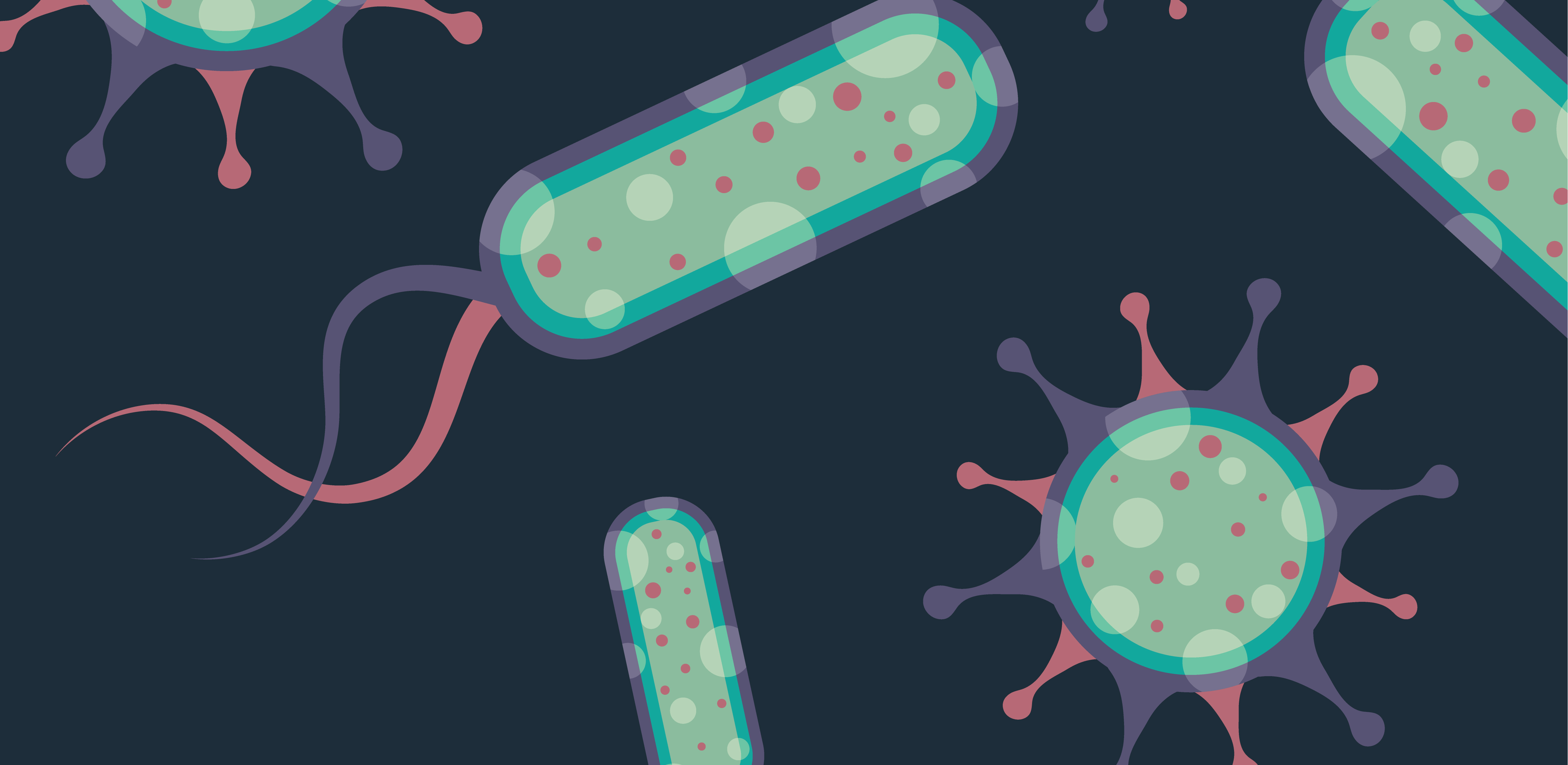 誰(shuí)是芽胞桿菌中的“運動(dòng)健將”？