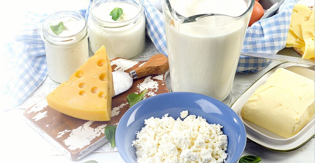 北京陸橋邀請您參加第六屆乳及乳制品檢測與控制技術(shù)交流會(huì )（2025年3月·呼和浩特）