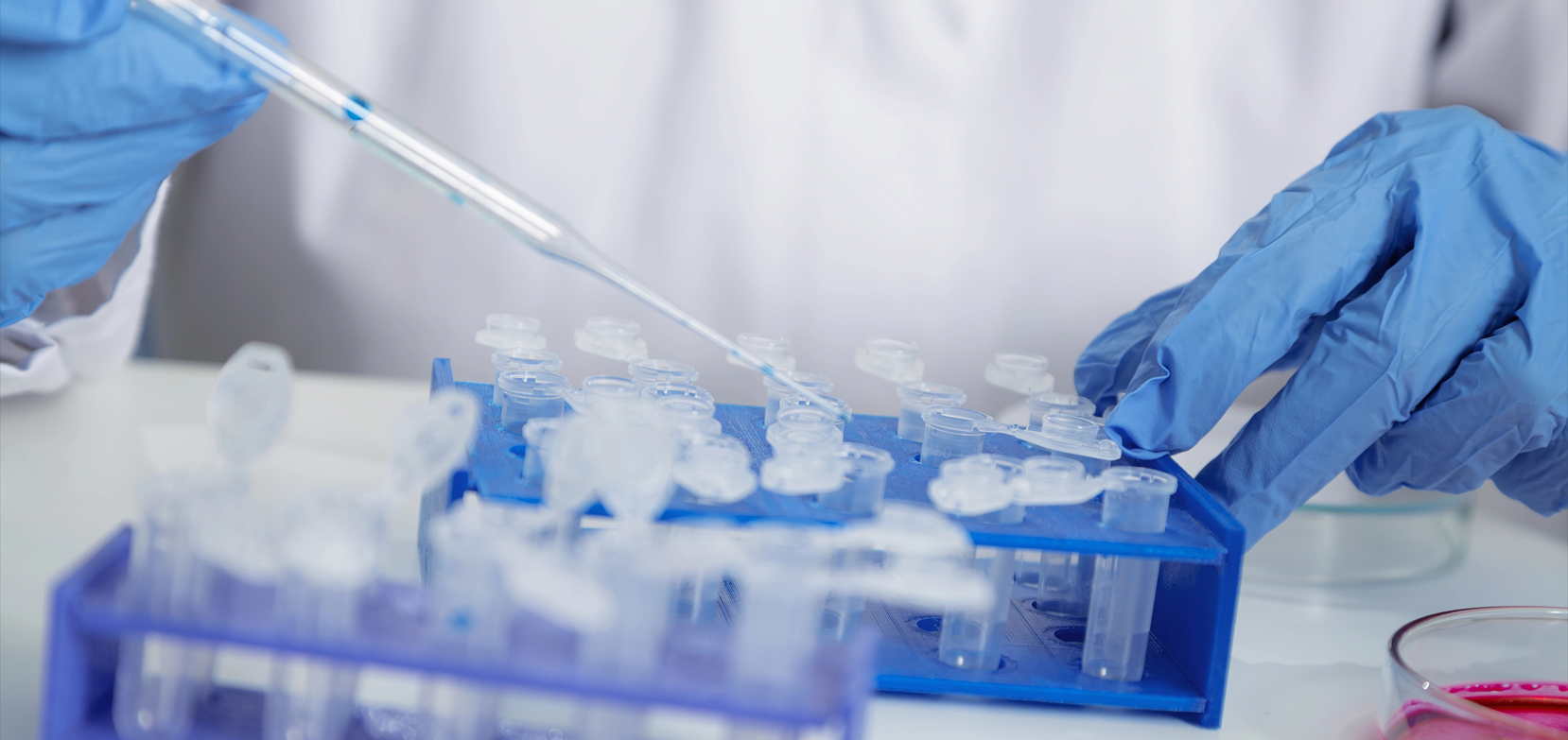 北京陸橋邀請您參加2025 AOAC食品檢測技術(shù)與標準研討會(huì )（2025年3月·深圳）