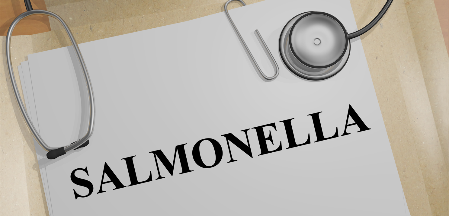 沙門(mén)檢測新助手—沙門(mén)氏+顯色培養基