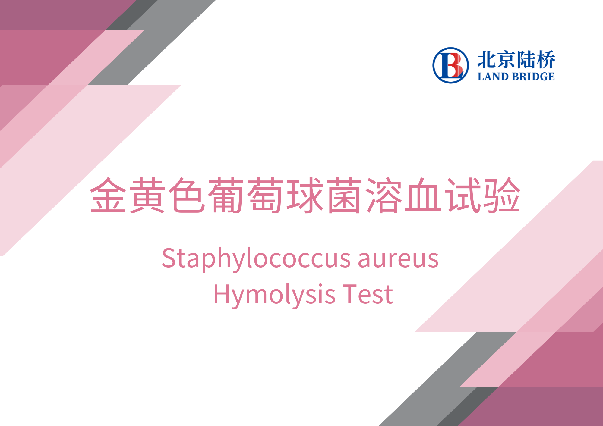 金黃色葡萄球菌溶血試驗