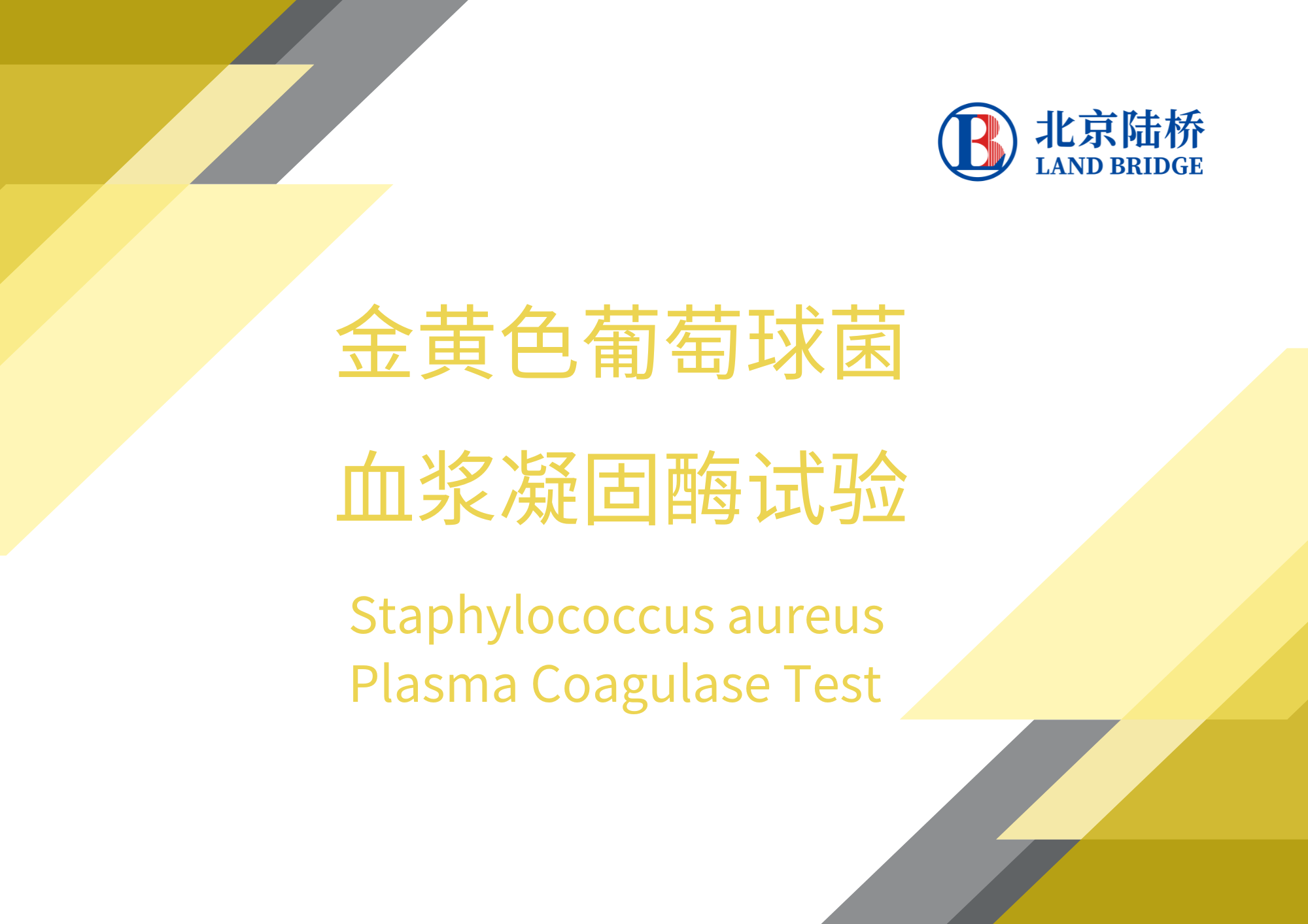 金黃色葡萄球菌血漿凝固酶試驗