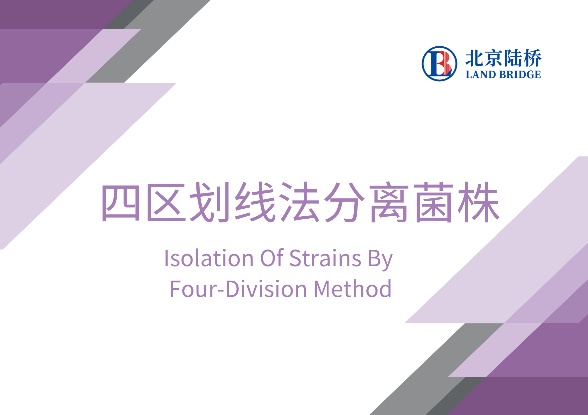 四區劃線(xiàn)法分離菌株