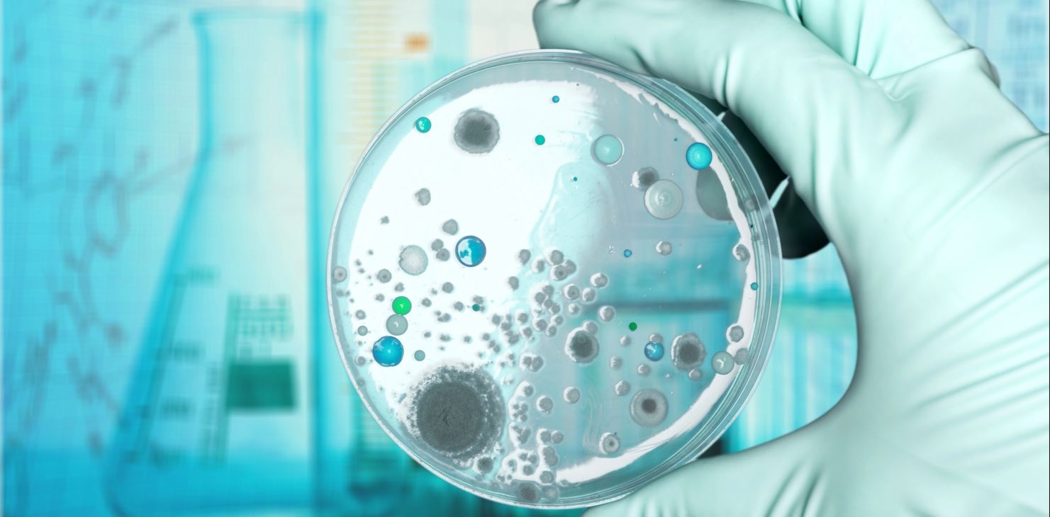 【技術(shù)干貨匯總】2025年度常見(jiàn)技術(shù)問(wèn)題大盤(pán)點(diǎn)